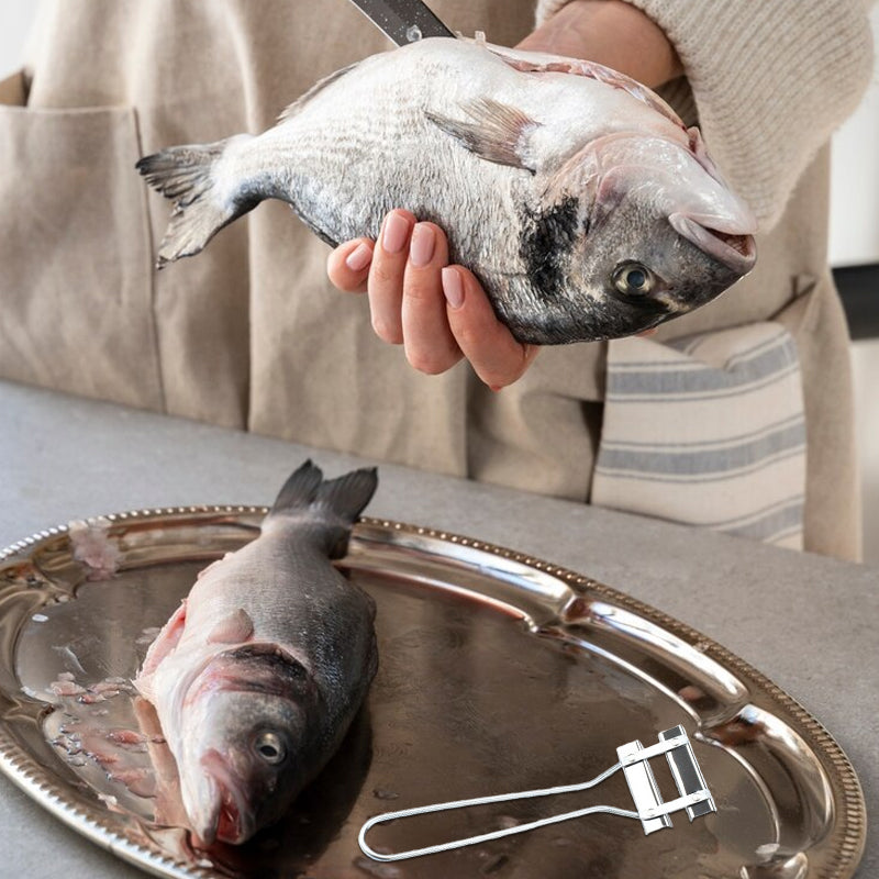 Fischschupper aus Edelstahl für den Haushalt/Household stainless steel fish scaler